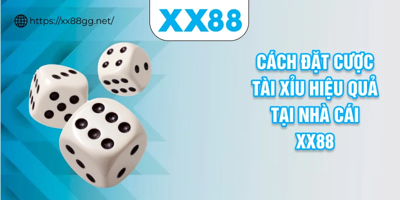 Cách đặt cược tài xỉu hiệu quả tại nhà cái XX88