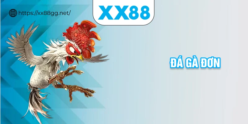 đá gà đơn