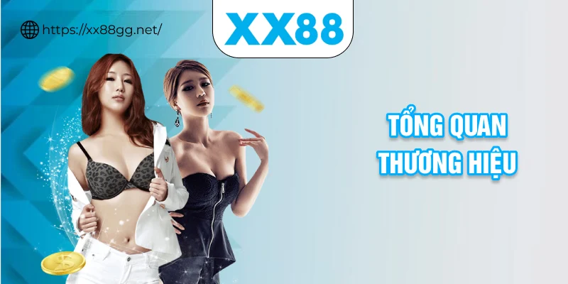 Tổng quan thương hiệu